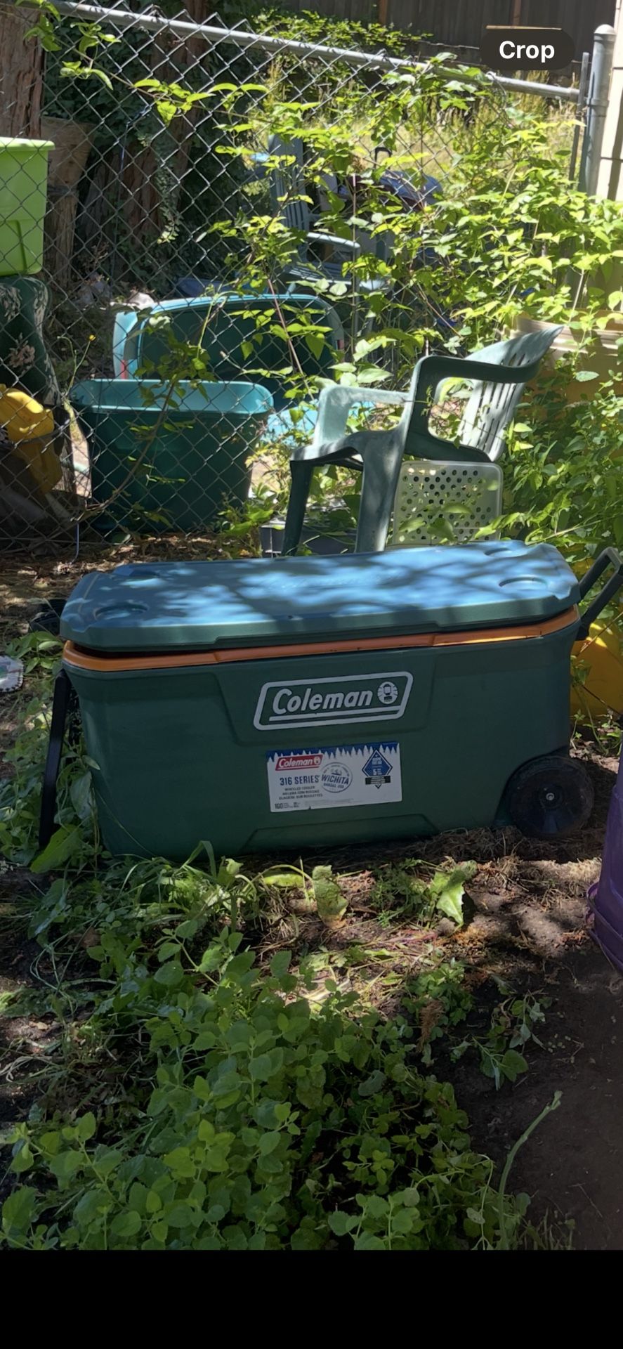 Colman Cooler Like New