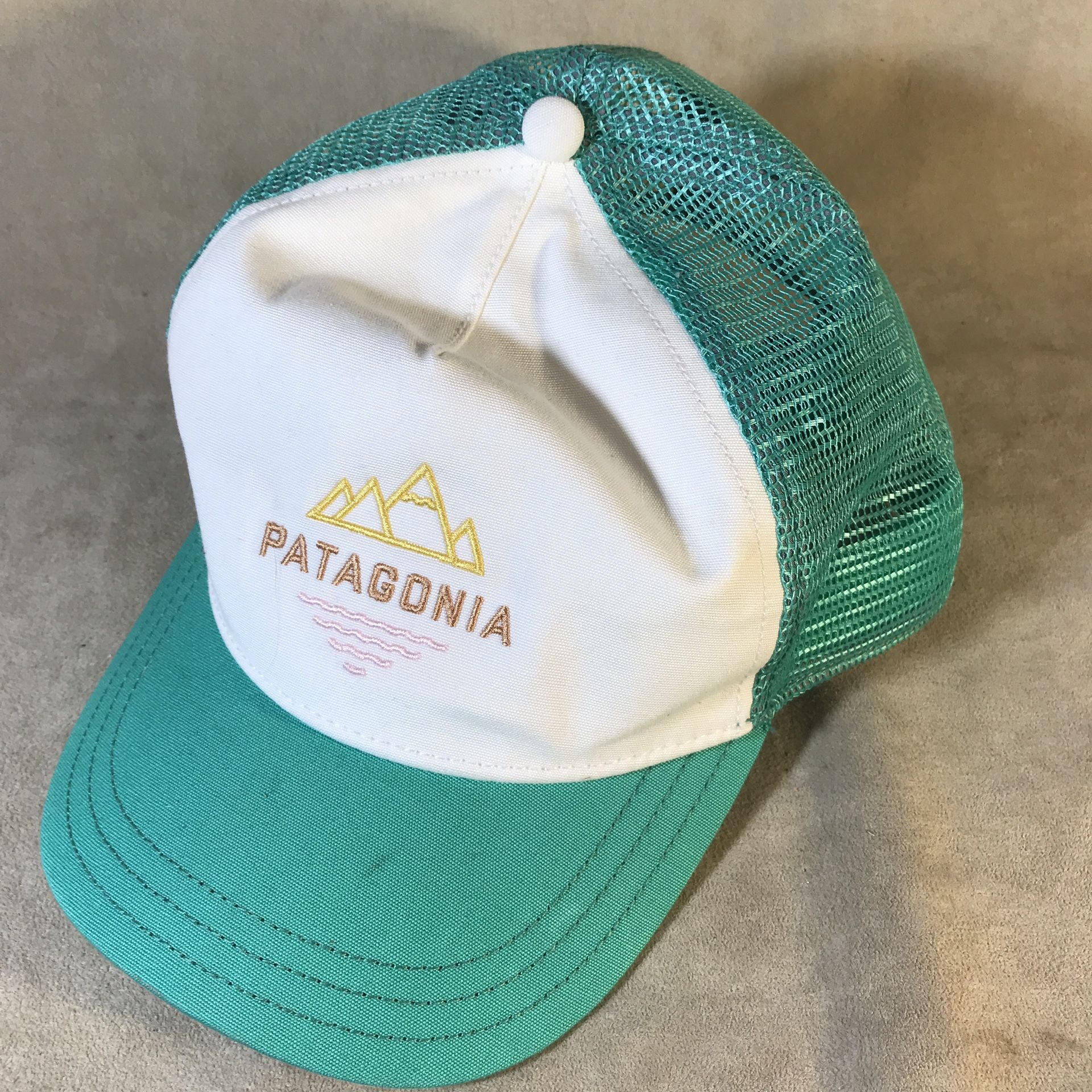 Patagonia SnapBack Hat