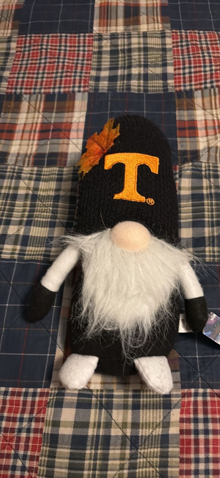 University Of Tennessee Gnome 