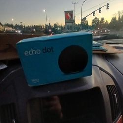 Echo Dot