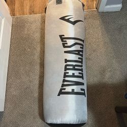 Everlast 70lb Punching Bag