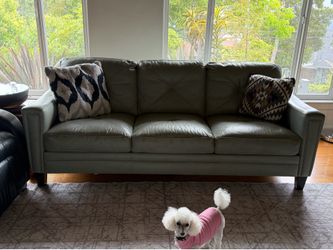 Free couches