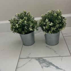 Faux Decorative Plants