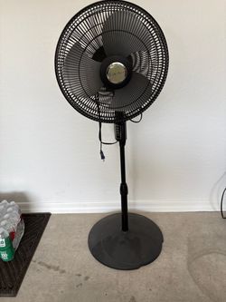 Fan