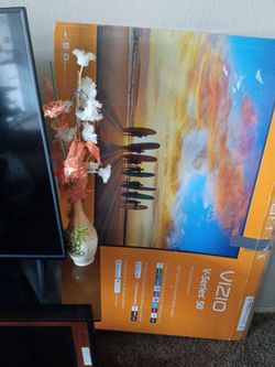 Vizio