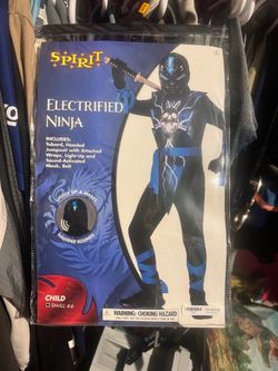 Electrified Ninja