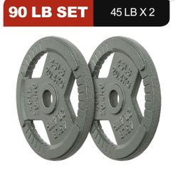 45 Pound Metal Plates