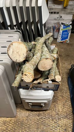 Oak tree 🌳 fire 🔥 wood 🪵