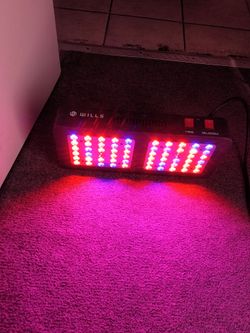 Pack of work lights $120