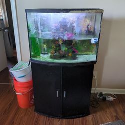 50 Gallon aquarium with fish Need Gone Asap
