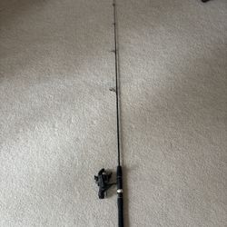 Shimano Fishing Reel & Rod
