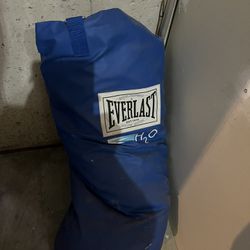 Everlast Punching Boxing bag/ Equipment