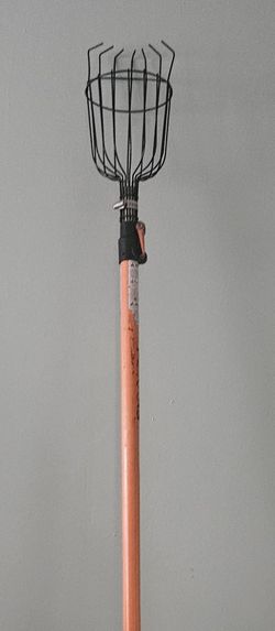 Fiskars 13 ft telescoping fruit picker