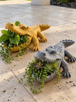 Large Alligator Planter Sculpture – Multiple Colors