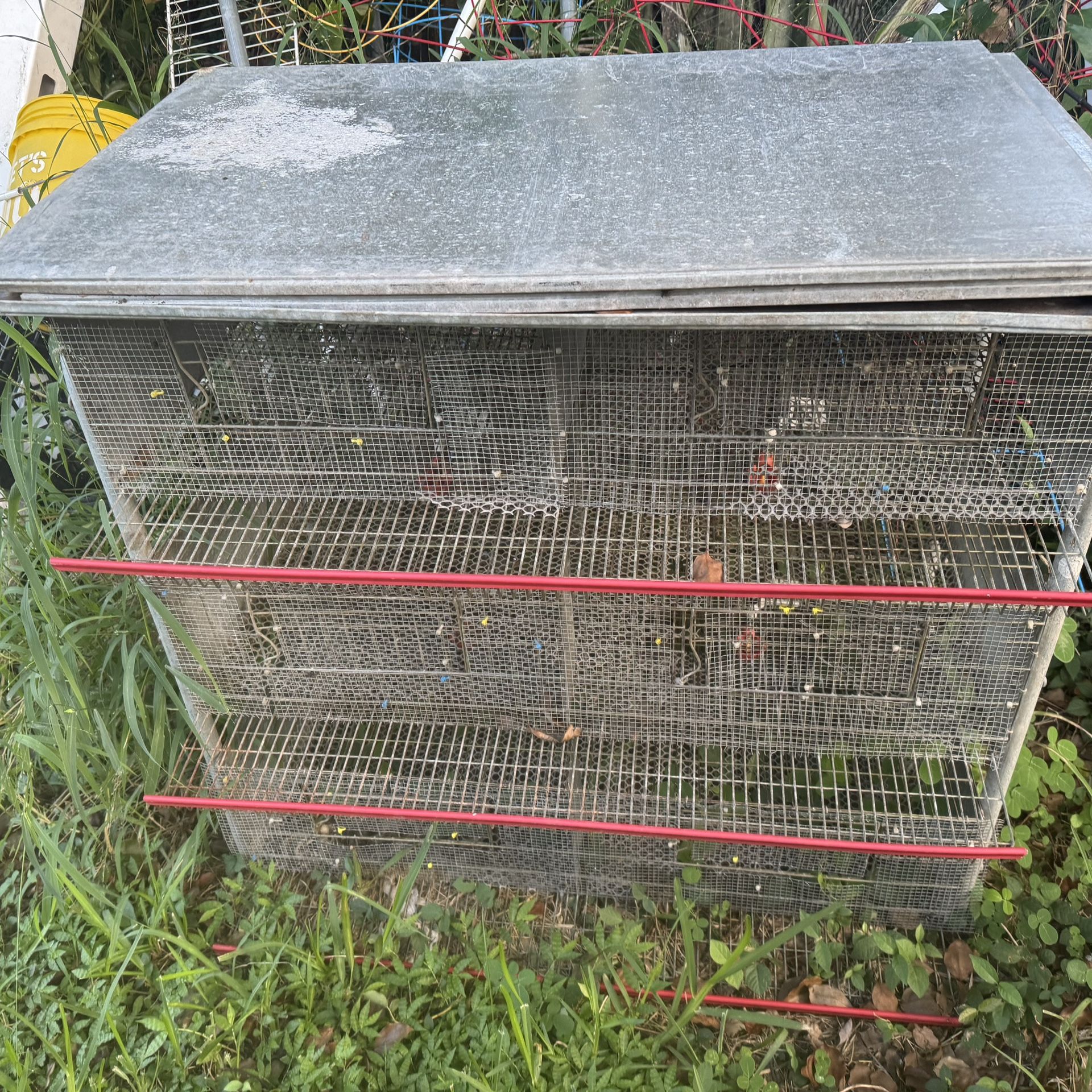 Quail Cage 