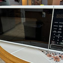 Mini Microwave Oven