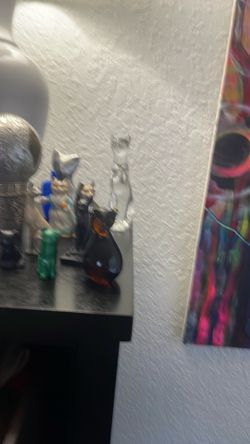 Cat menagerie