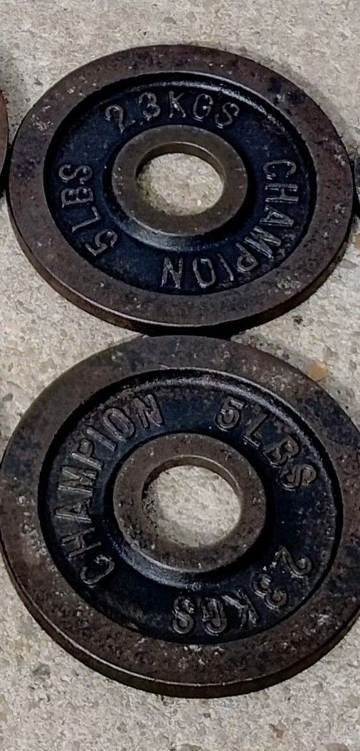 ( YES STILL AVAILABLE) 2- 5 LB Olympic Weight Plates 