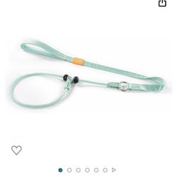 Dog Training Leash For Dogs 5ft 