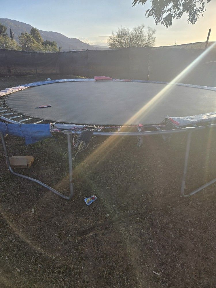 Free Trampoline