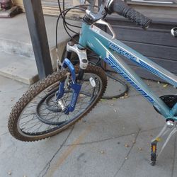 Schwinn Bike