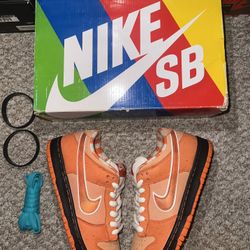 Nike Sb Dunk Low "Orange Lobster" Size 8.5 (Worn 3x/Clean) ❤️‍🔥