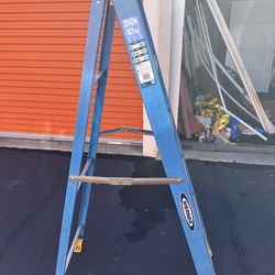 Werner 6’ Fiberglass Ladder