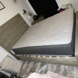 Great Condition Frame/Bed! 