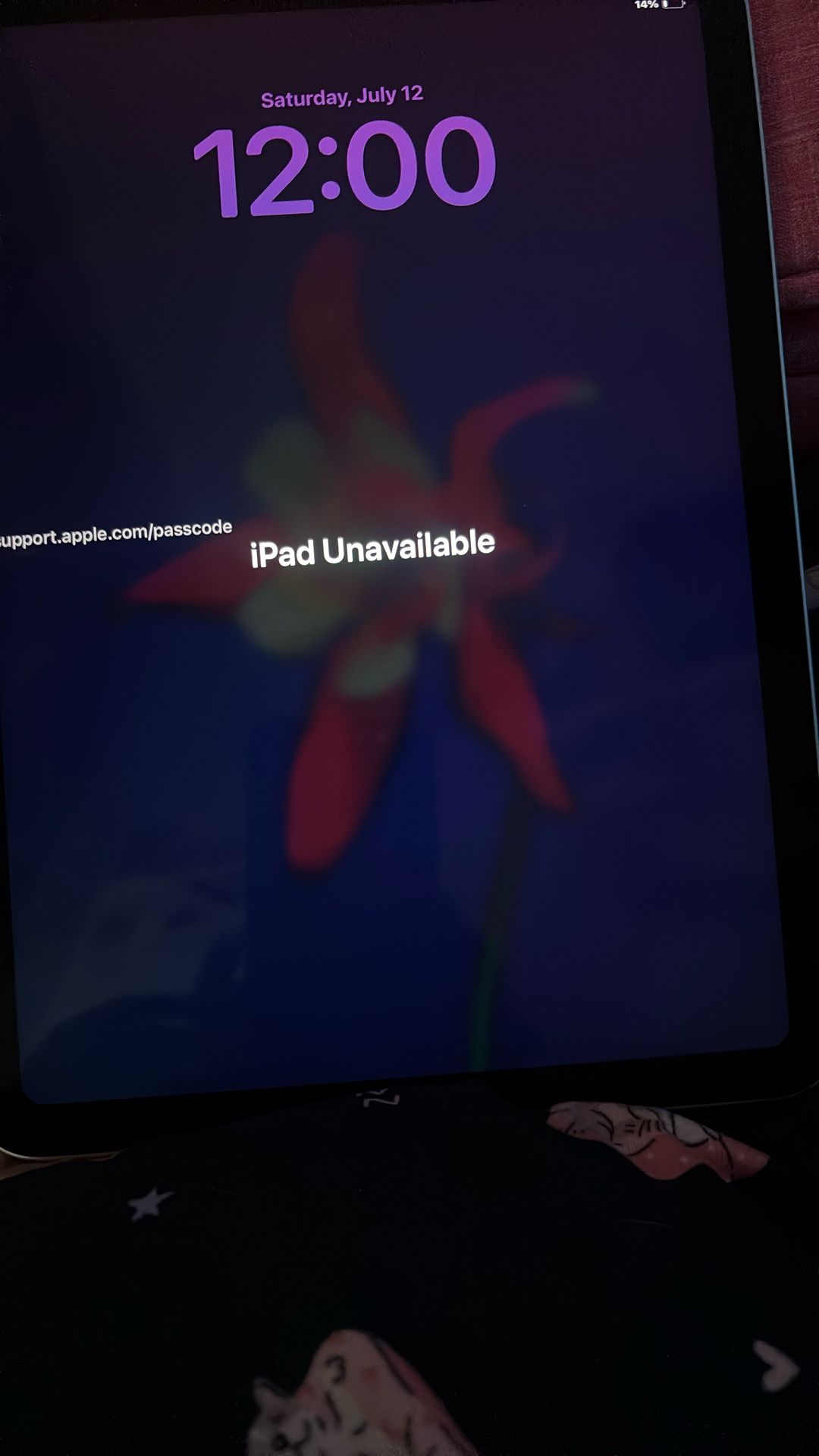 iPad