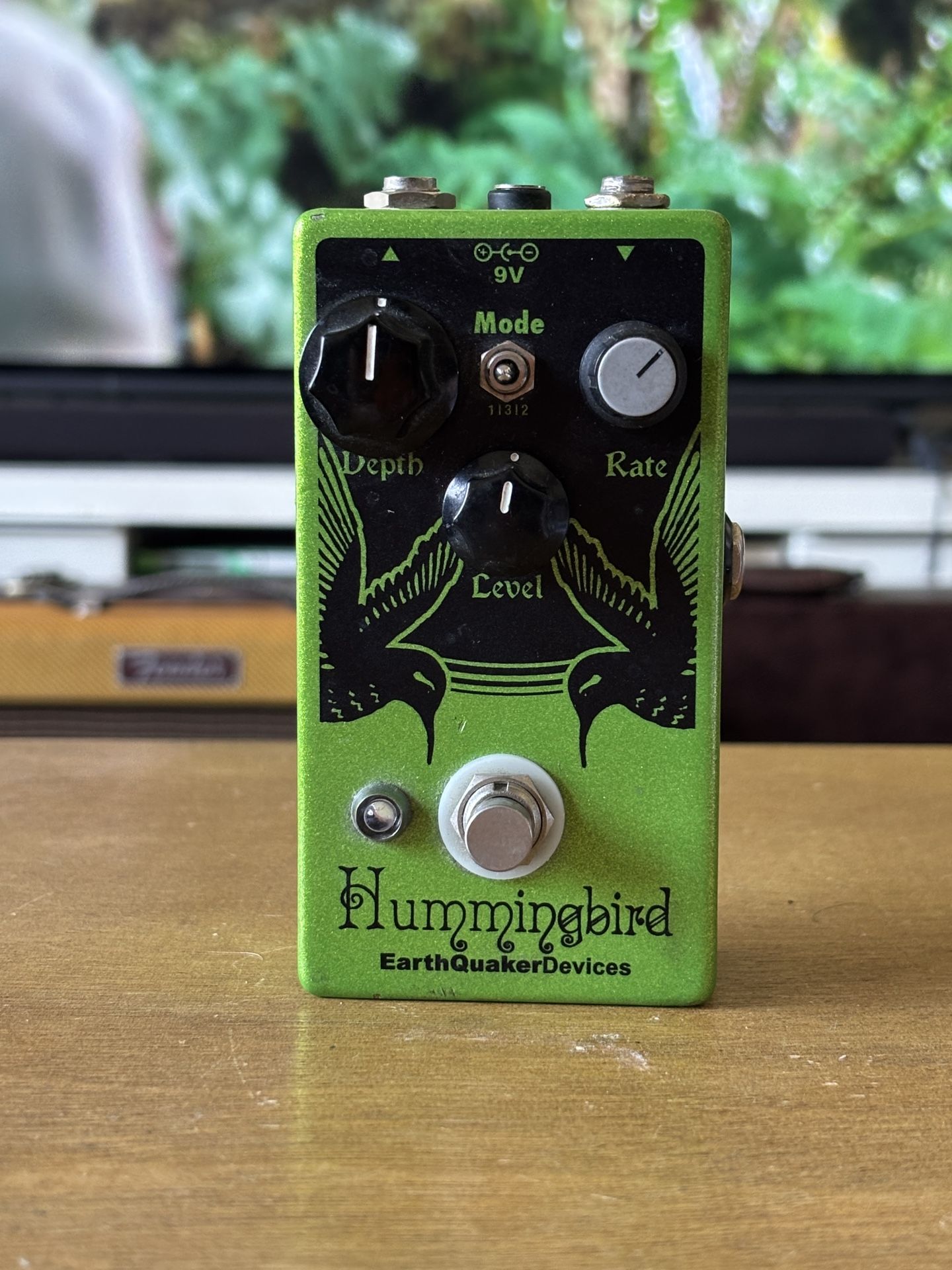 Earthquaker Devices EQD Hummingbird Repeat Percussions Delay Guitar Effects Pedal
