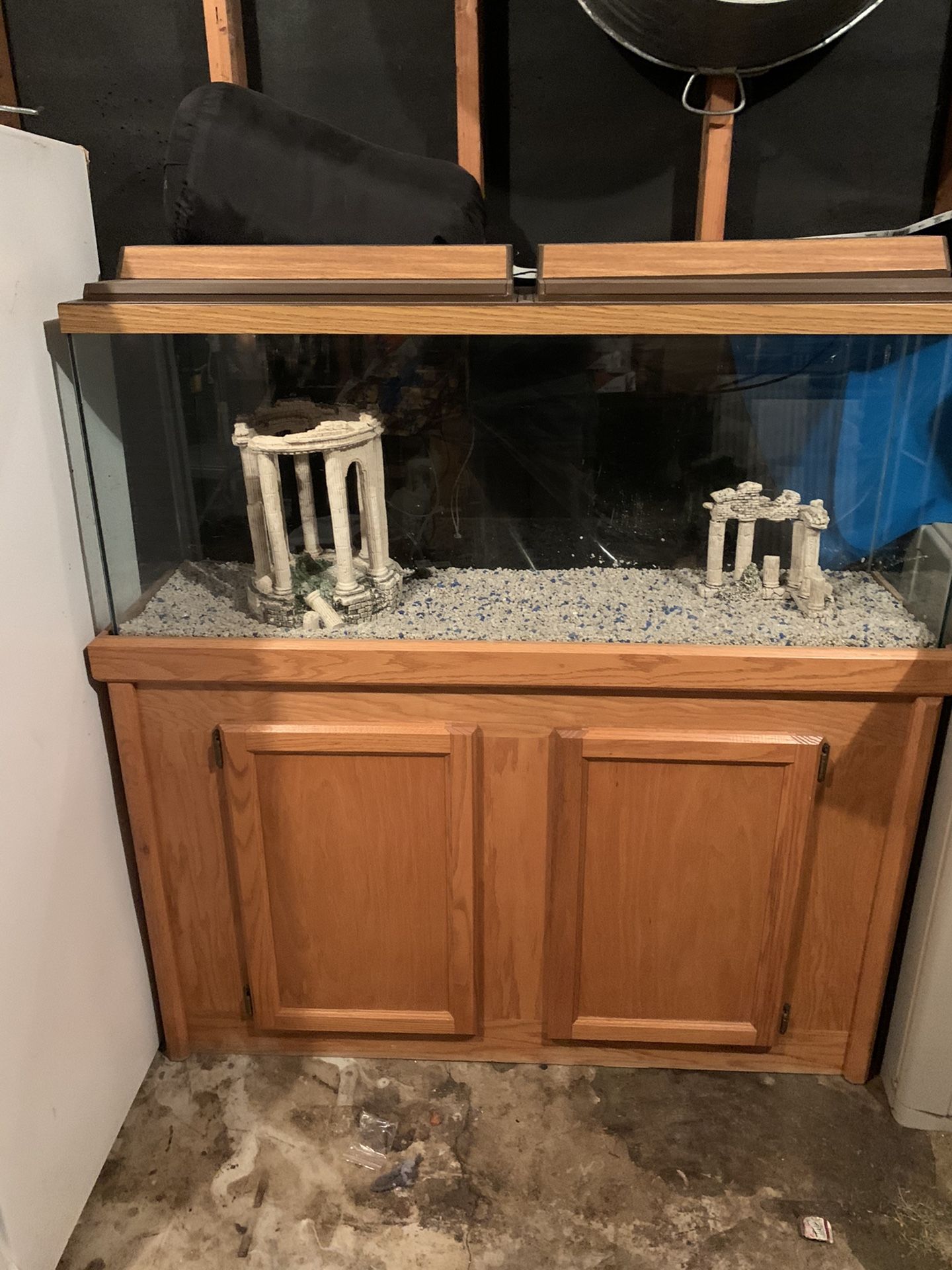 55 gallon fish tank with stand and accessories