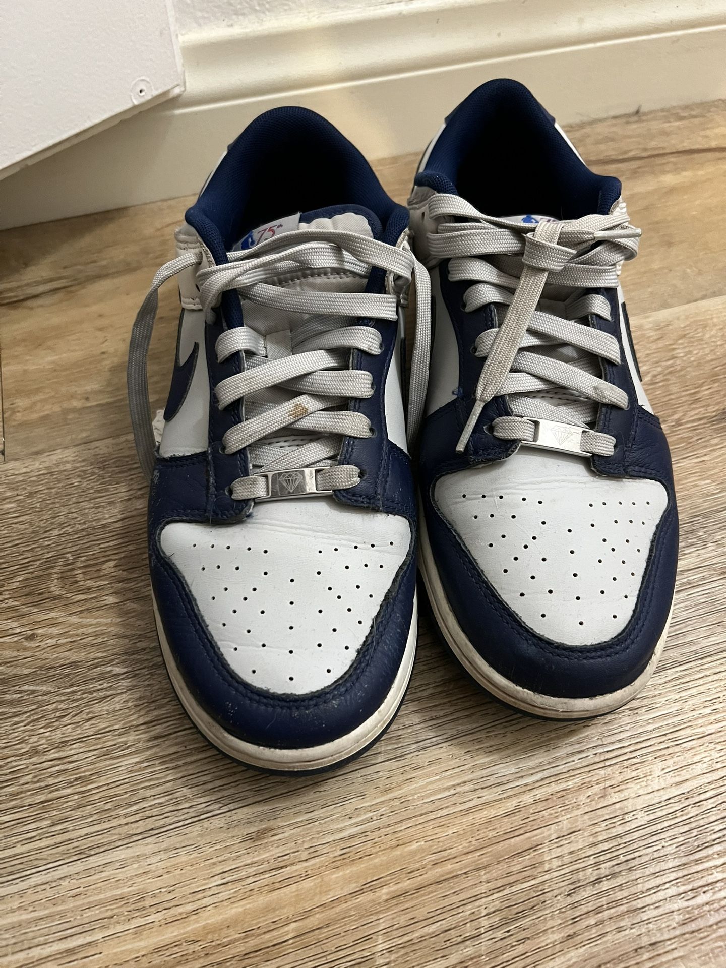 nike dunks nets