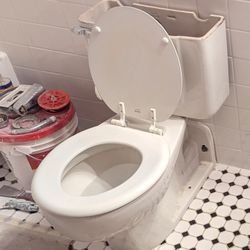 Rear Outlet Toilet