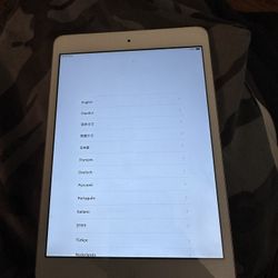 iPad Mini 2