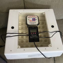 Incubator 