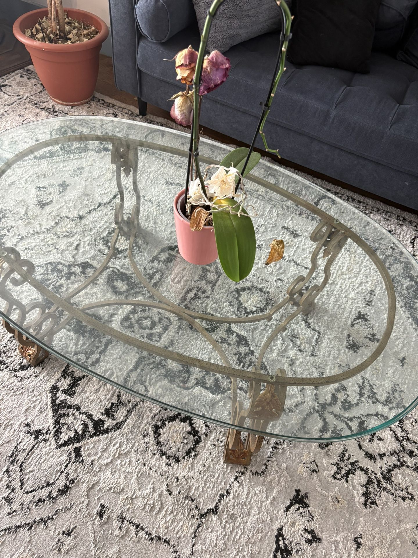 Glass Coffee Table