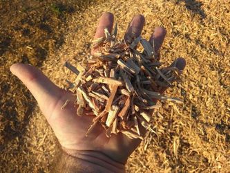 Organic Wood chips