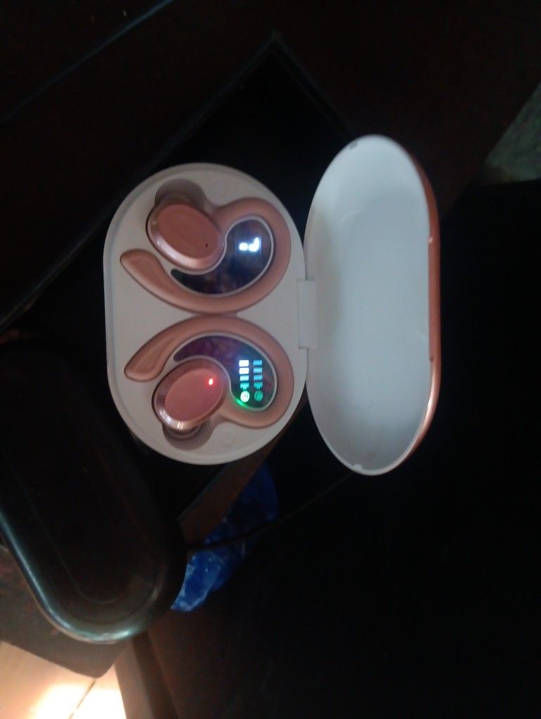 ROHS earbuds