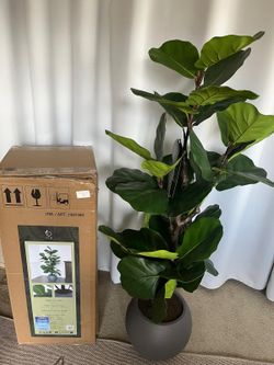 Faux 5' Slim Fig Tree