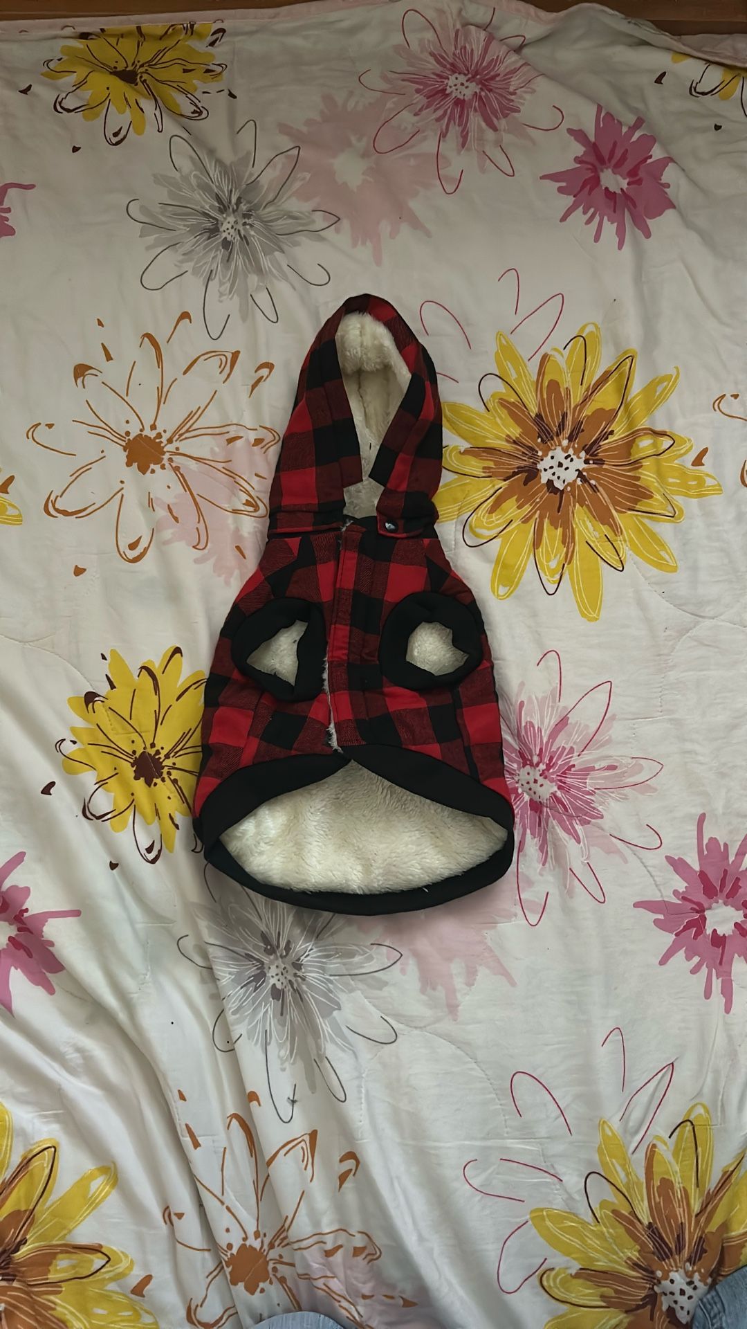 dog clothing