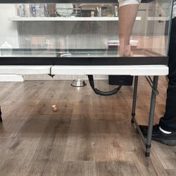 60 Gallon Long Fish Tank 