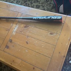 Rawlings Prodigy Baseball Bat