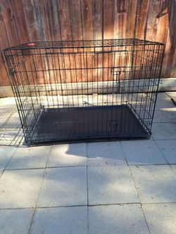 Dog kennel