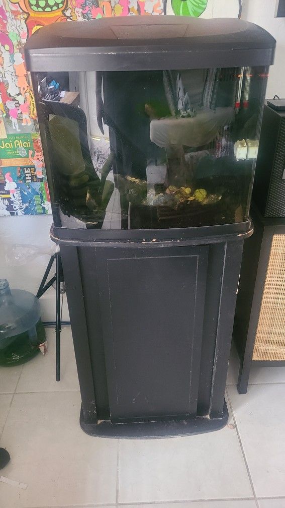 BioCube Fish Tank