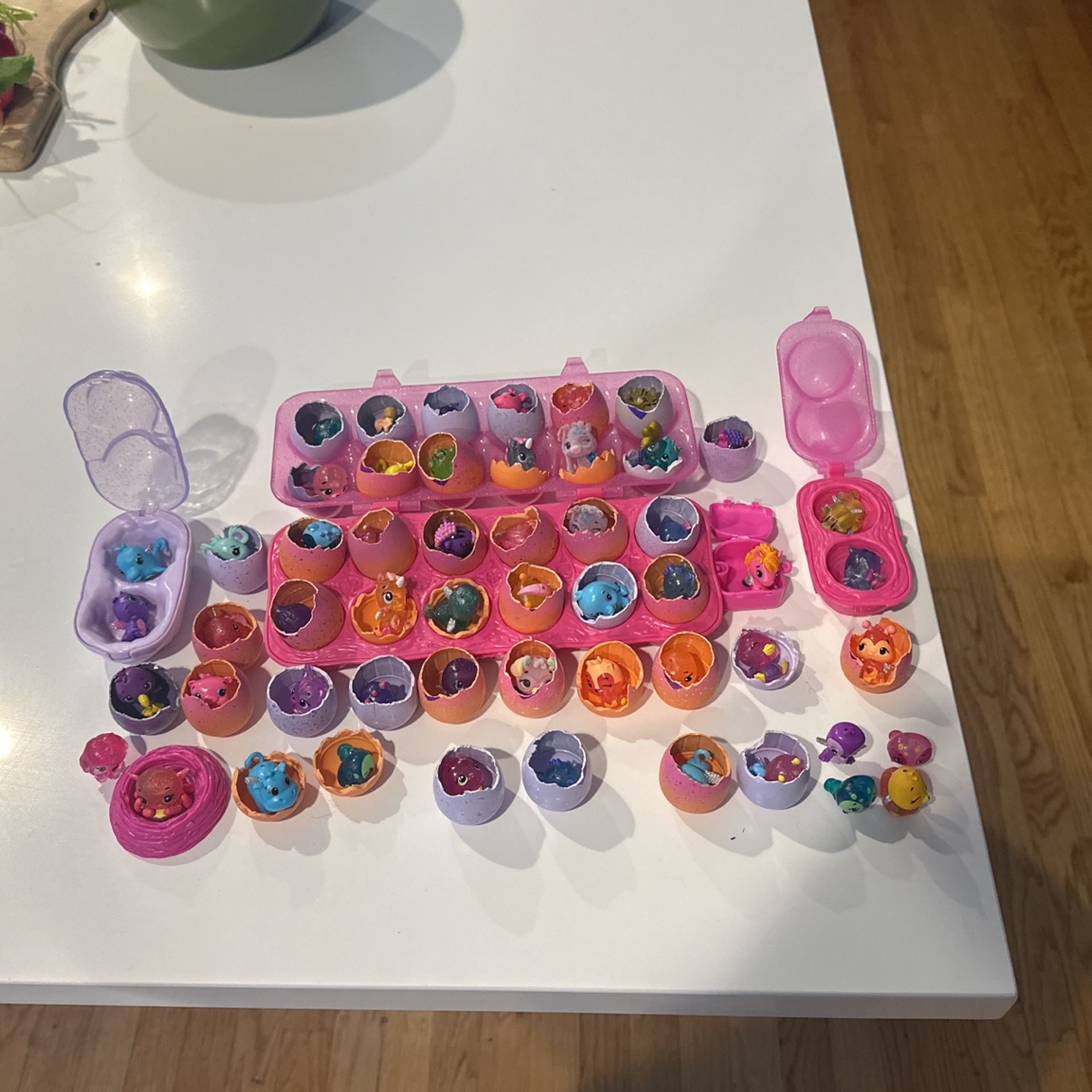 Cute Hatchimal Toys!