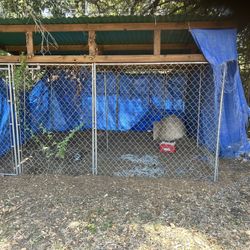 Large Dog Kennel For Sale