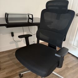 Ergonomic Adjustable Chair - Fully Customizable