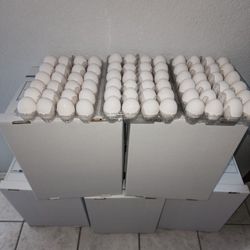 Fresh Eggs🥚boxes 280/180/150