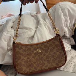 Tan/brown teri purse