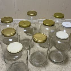 14 glass Jar-1 gallon size